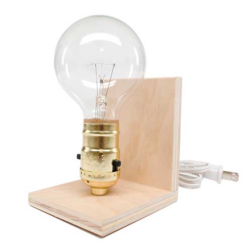 Light Bulb Socket W/Switch and 40W Clear Bulb