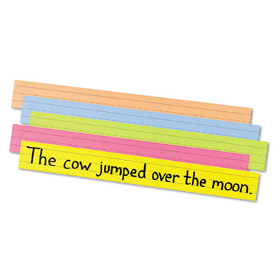 Magnetic Dry Erase Sentence Strips - 5 sentence strips