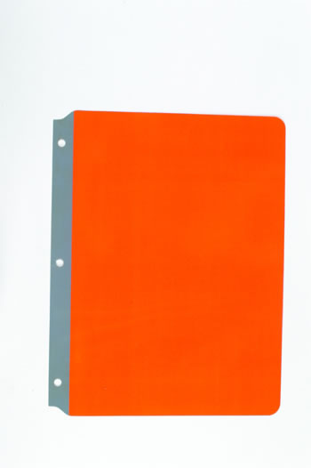 FULL PAGE READING GUIDES ORANGE