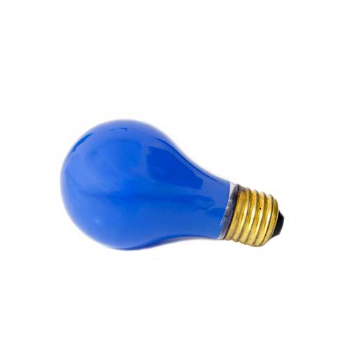 Bulb  25 W  Blue