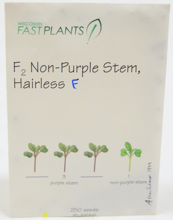 Wisconsin Fast Plant, F2, Packet F