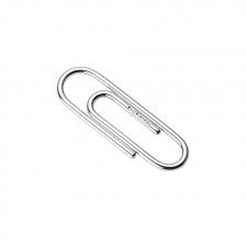 Paper Clips, Small, PK/100