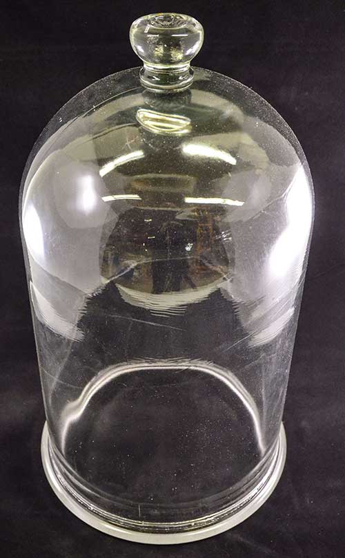 Glass Bell Jar, 15
