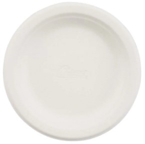 Paper Plate, Flat-Rimmed, Single