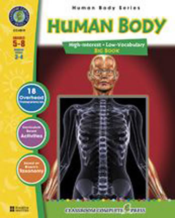 HUMAN BODY BIG BOOK