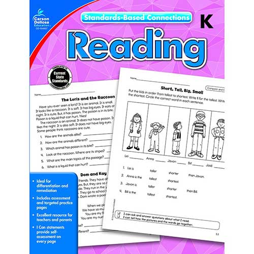STANDARDS-BASED CONNECTIONS READING