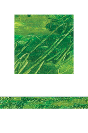SQUIGGLY GREEN STRAIGHT BORDER