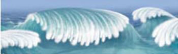 OCEAN WAVES BIG BORDERS GR PK-5
