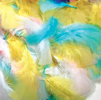 FEATHERS SPRING COLORS