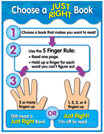 CHOOSE A JUST RIGHT BOOK CHART