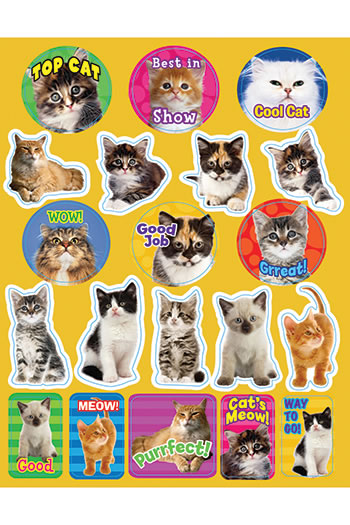 MOTIVATIONAL CATS THEME STICKERS