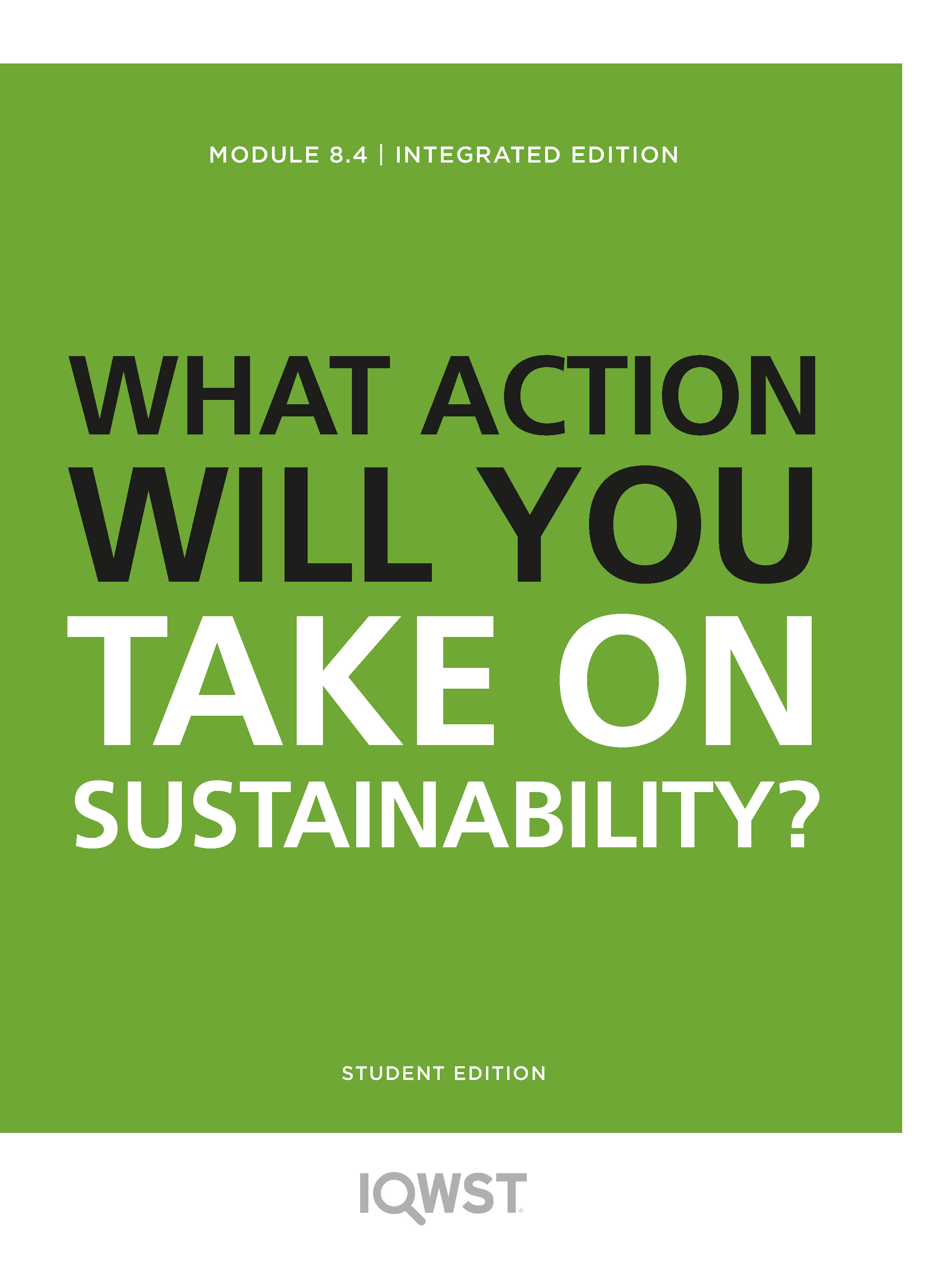 8.4 On What Issues of Sustainability Will You Take Action?