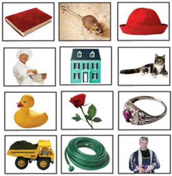 PHOTOGRAPHIC LEARNING CARDS