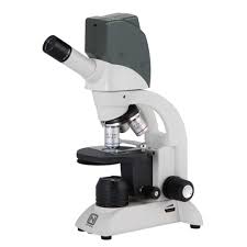 Microscope  400X