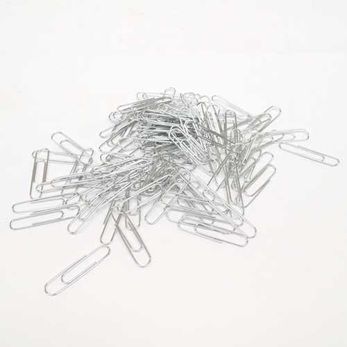 Paper Clips Small pkg. 100