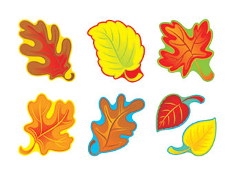 FALL LEAVES VARIETY PK CLASSIC