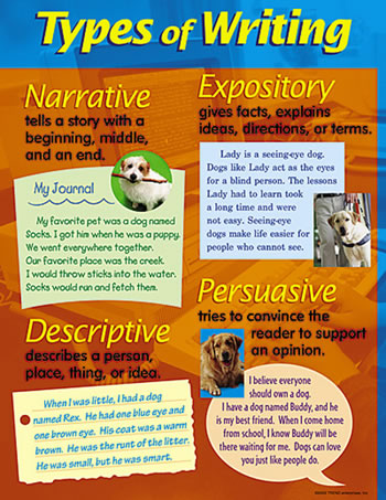 CHART TYPES OF WRITING 17 X 22