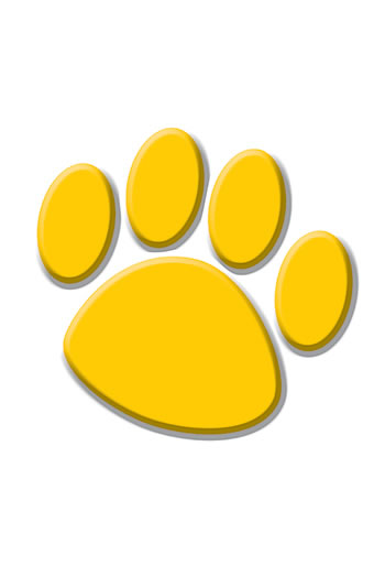 GOLD PAW PRINTS ACCENTS