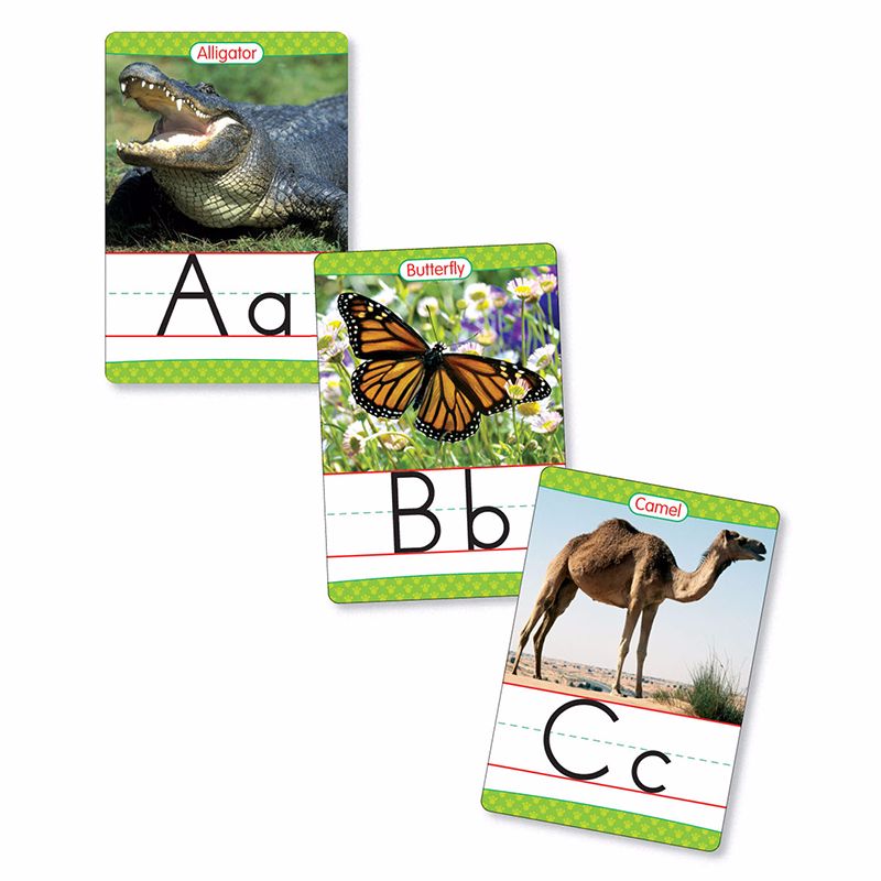 BB SET ANIMALS FROM A TO Z