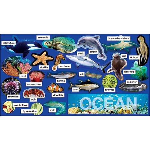 OCEAN PLANTS & ANIMALS MINI BB SET