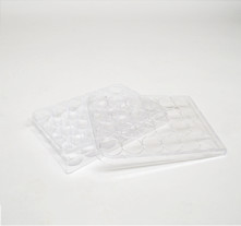 Microplates Large 24 wells