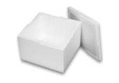 Cooler Small Styrofoam